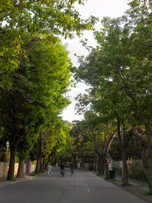 Free Cyclists riding through a picturesque, tree-lined street in İstanbul, Türkiye during a summer day. Stock Photo