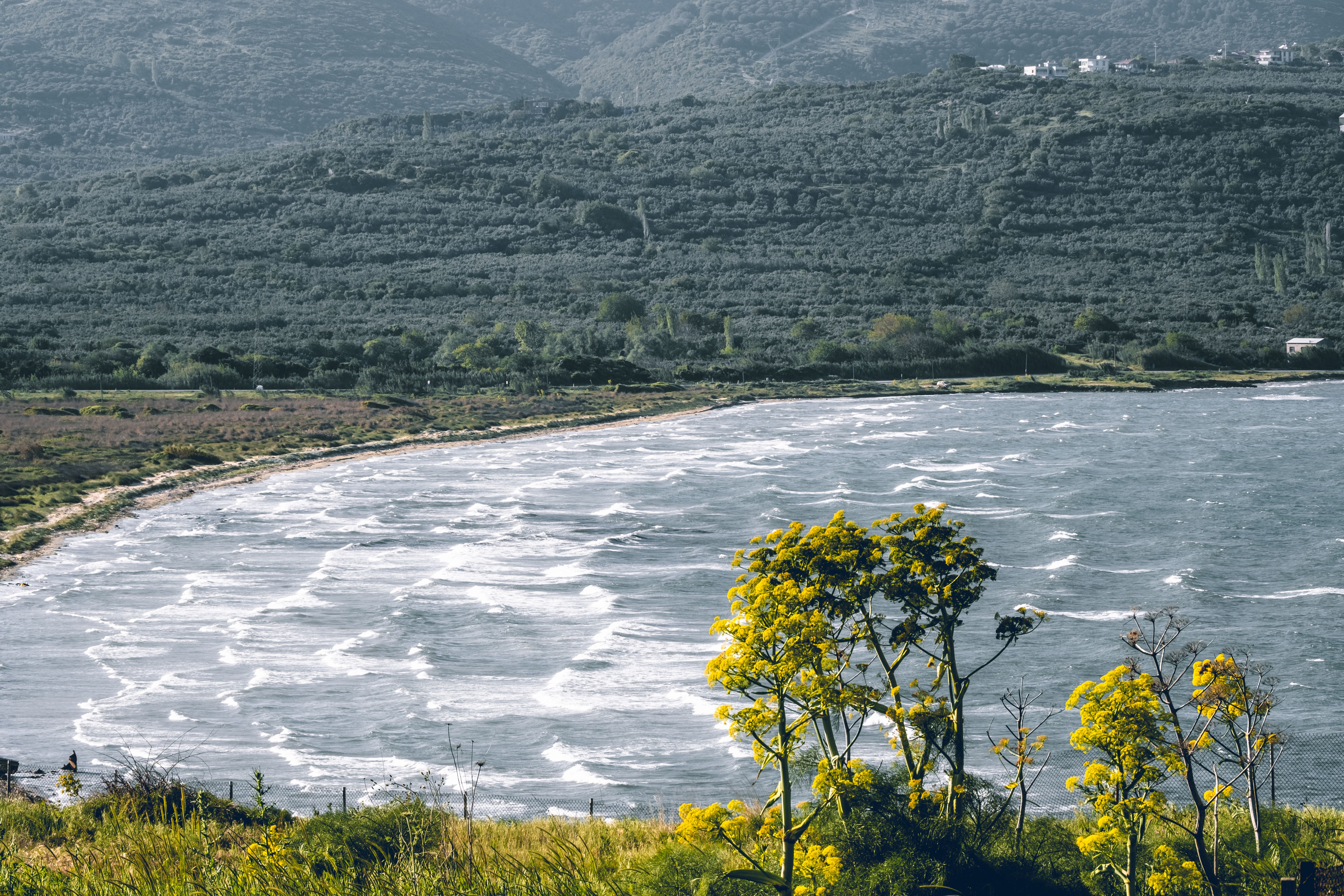 Καλαμάτα · φωτογραφία περιοχής 5