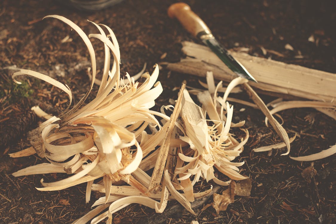 Free Wood Chips Stock Photo
