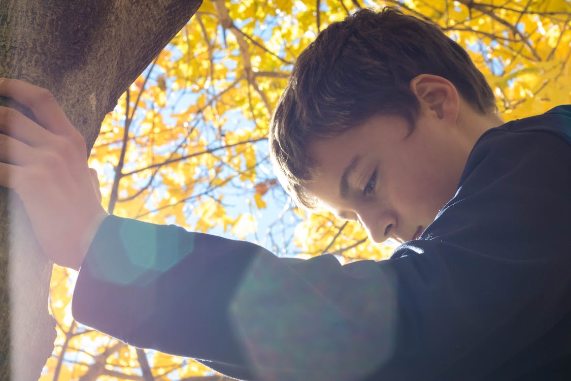 Free Boy Holding Tree Trunk Looking Down Stock Photo