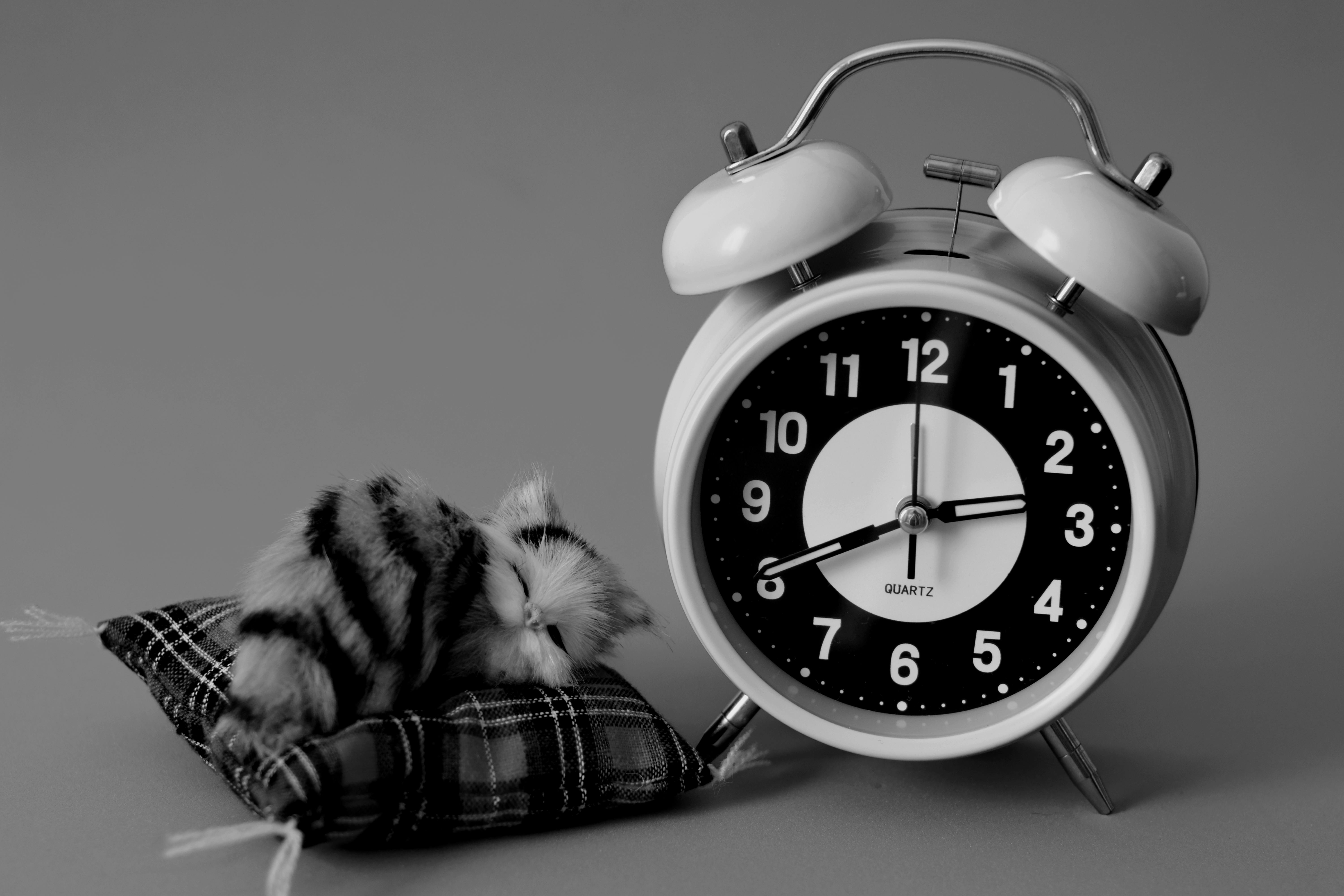 Black and white photo of a classic alarm clock next to a sleeping cat figurine on a cushion.