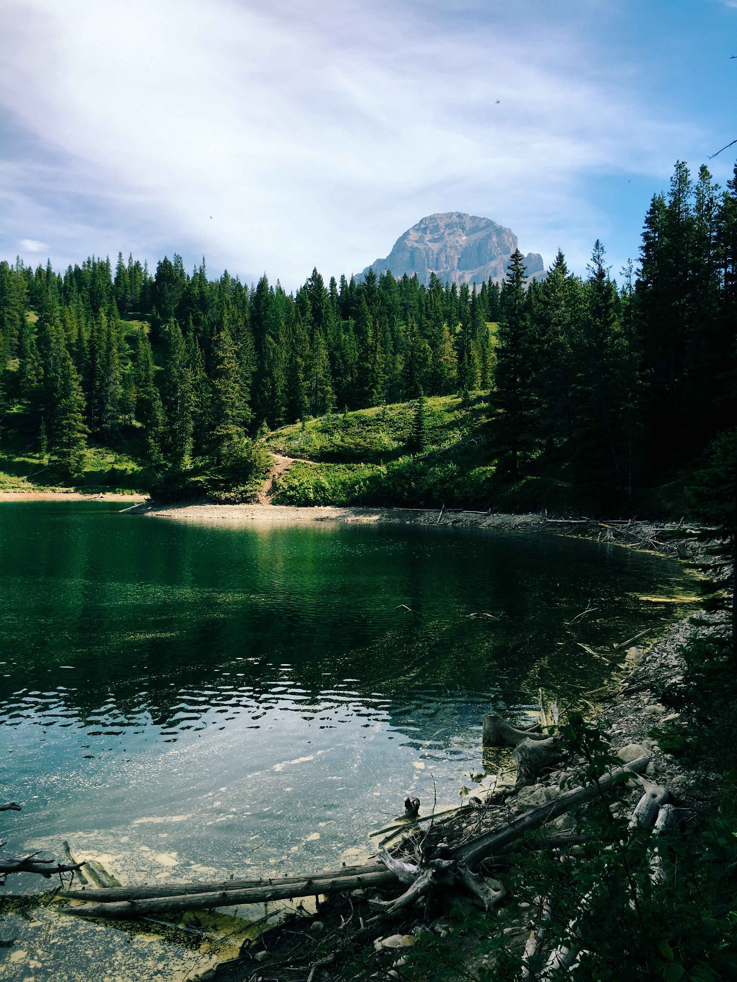 Lake in Evergreen Forest · Free Stock Photo