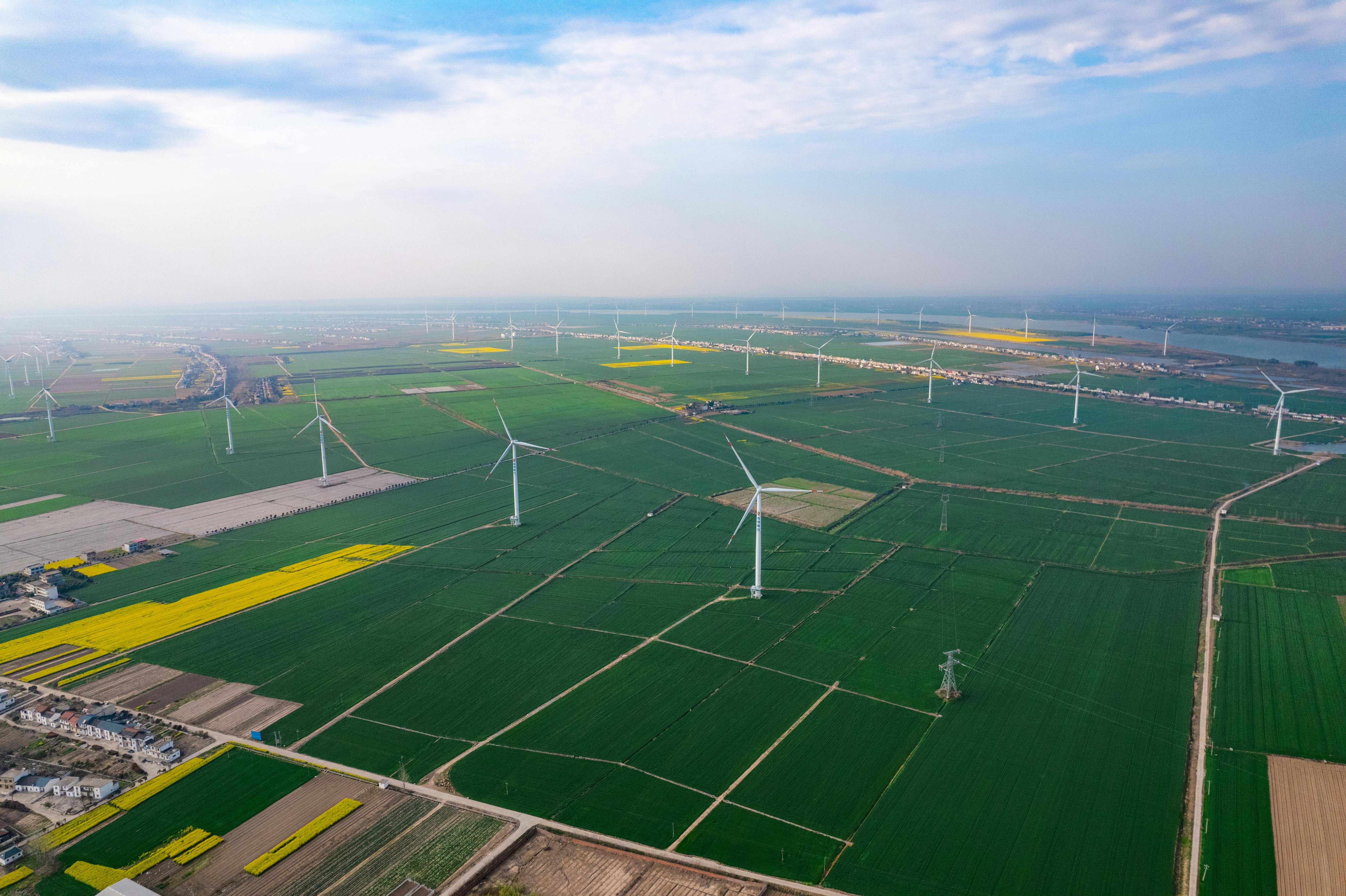 China's EV Energy Cap Explained — Photo by jason hu on Pexels