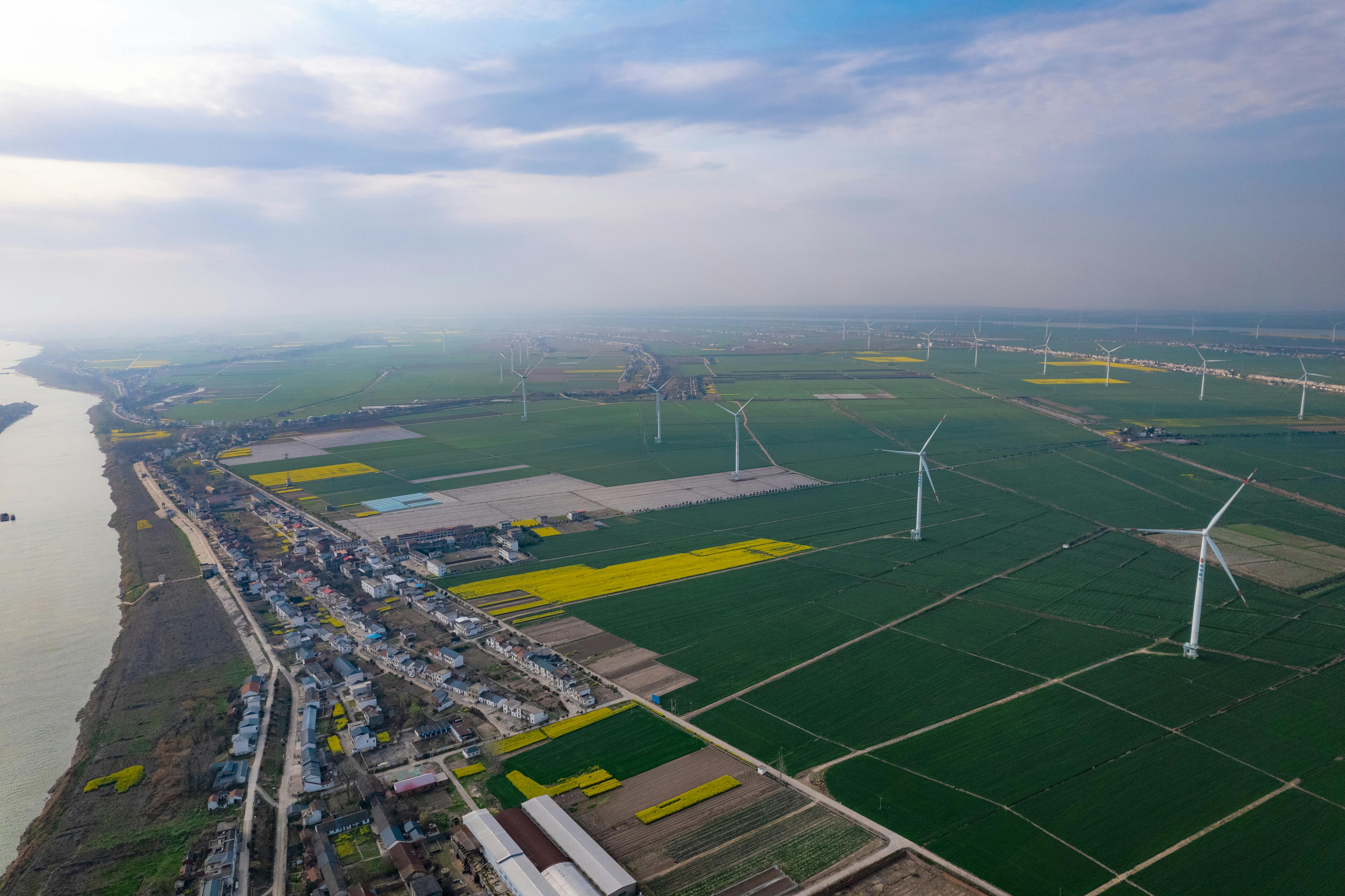 Renewable energy deployment: assessing benefits and challenges for ecosystem services — Photo by jason hu on Pexels