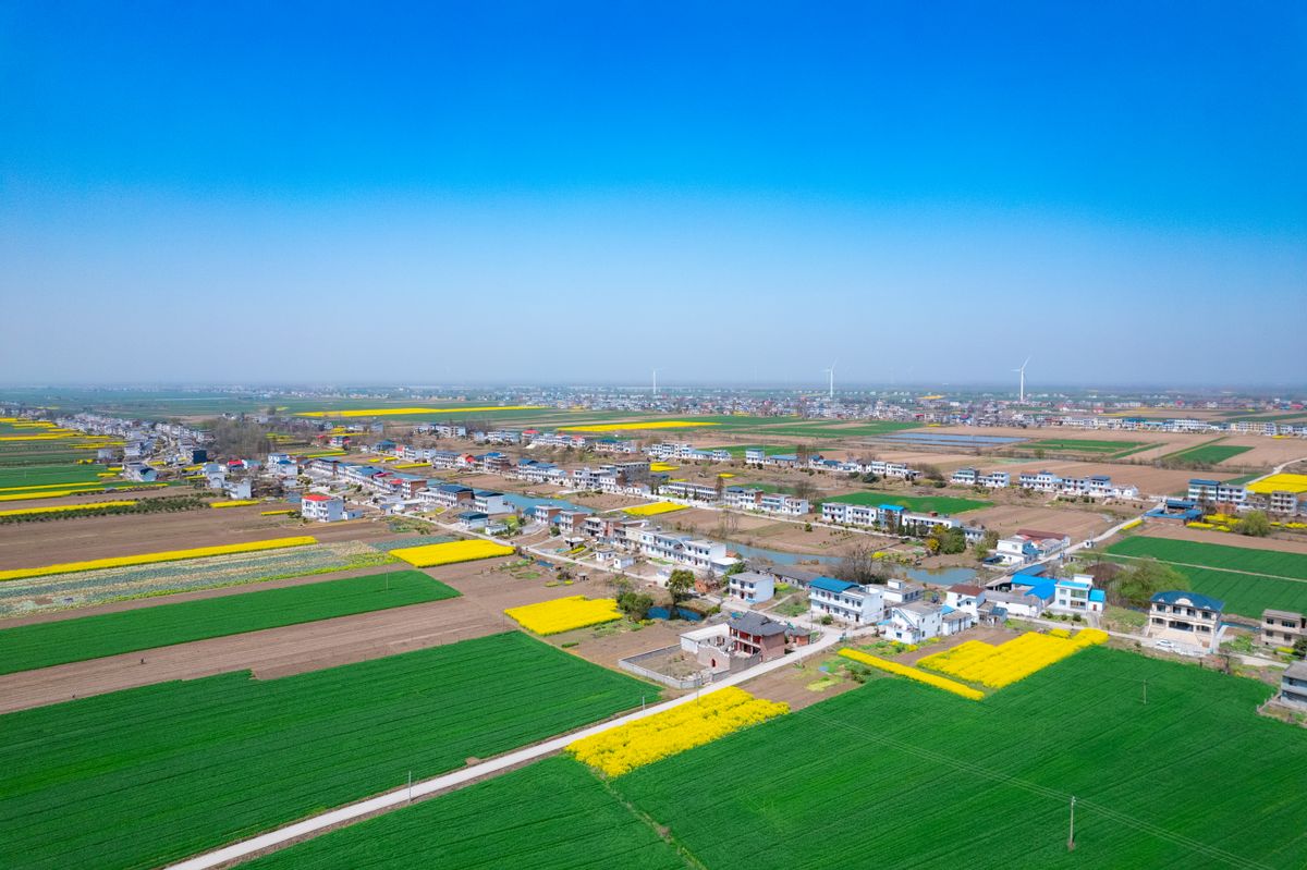 Aerial View of Croplands and Houses · Free Stock Photo