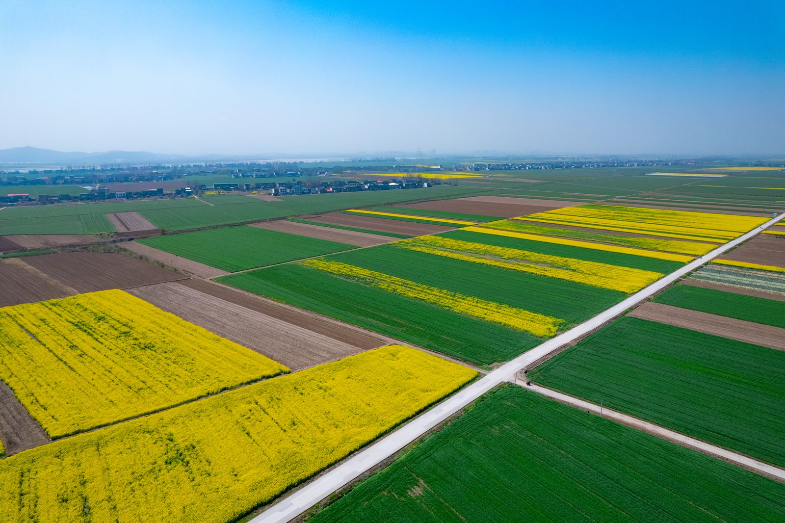 Aerial View of Croplands and Houses · Free Stock Photo
