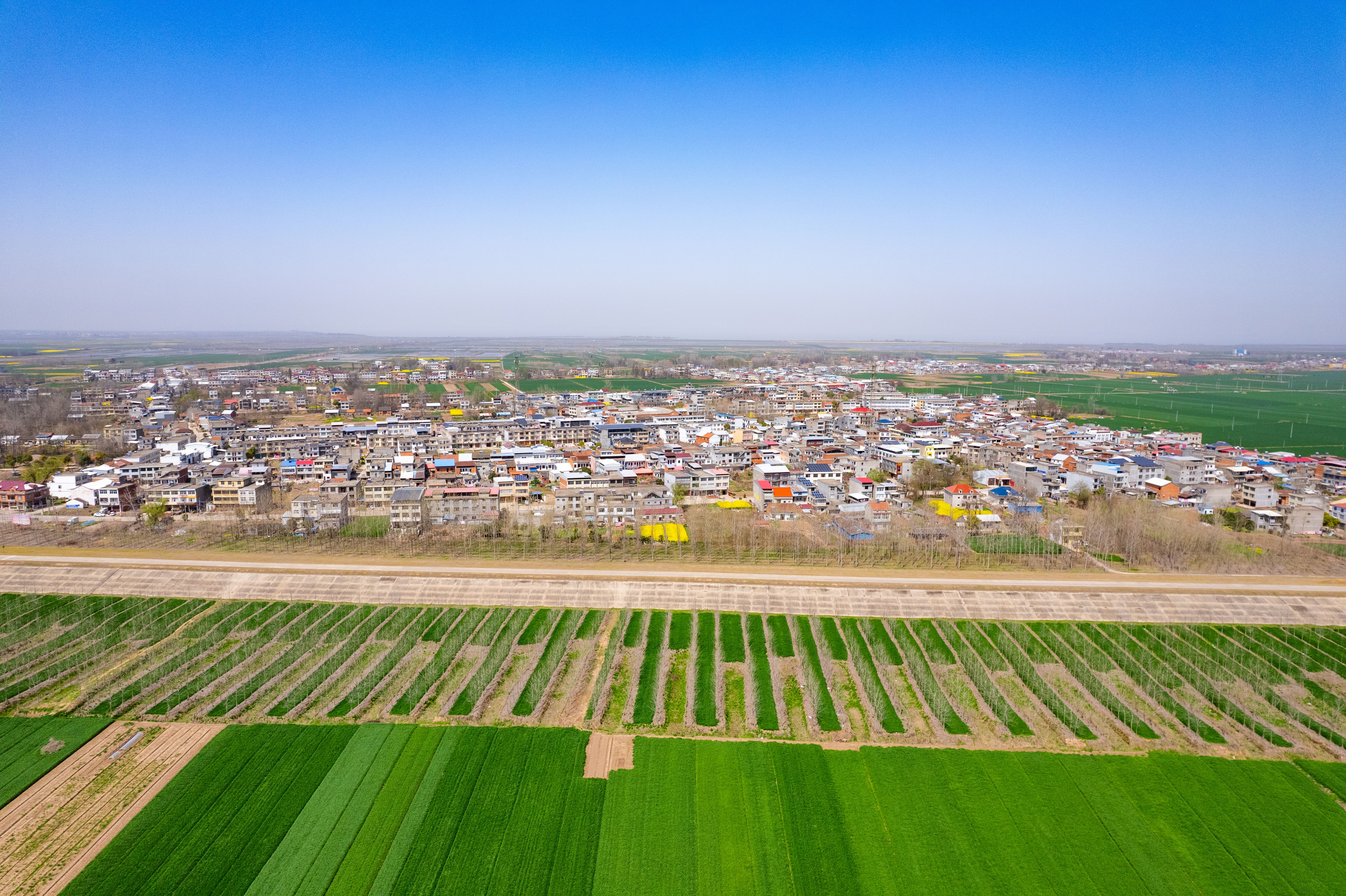Aerial View of Croplands and Houses · Free Stock Photo