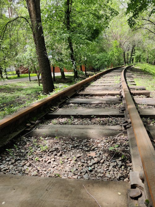 rails of the children's railway in the park