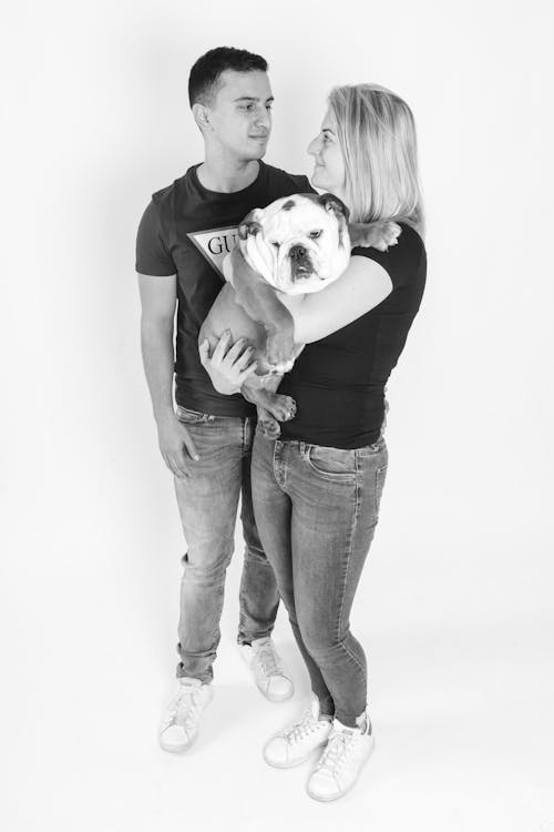 Imagine de stoc gratuită din bulldog englez, cățeluș, cuplu de tineri