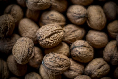 免費 walnuta, 堅果殼, 棕色 的 免費圖庫相片 圖庫相片