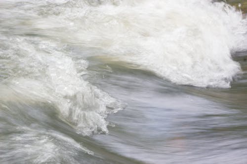 무료 강, 리오, 물의 무료 스톡 사진