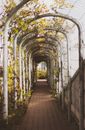 Brown Brick Pathway With White Arch Roof