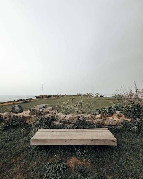 A bench on a grassy field near the ocean