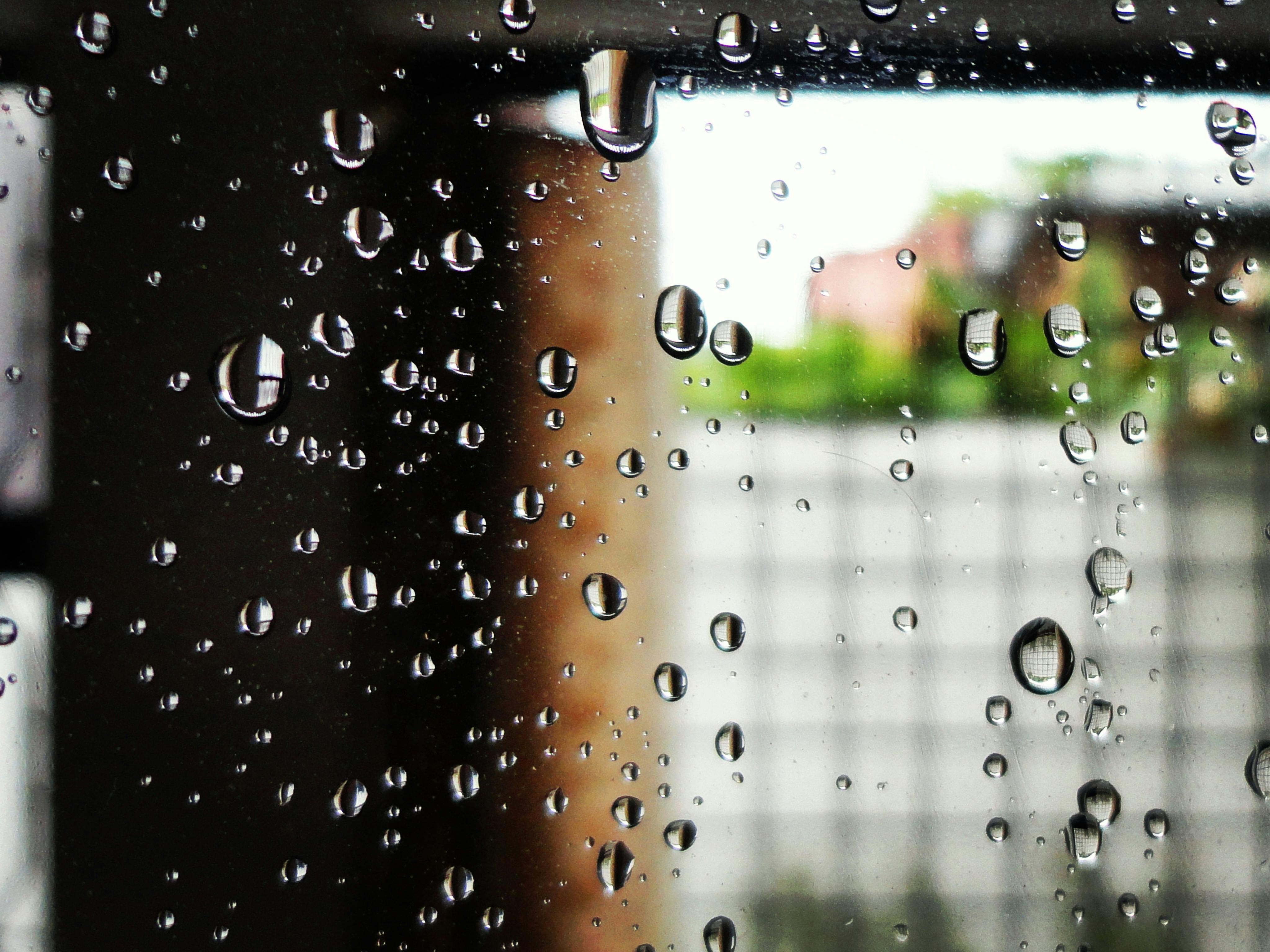 Free Stock Photo Of After The Rain, Cool, Droplets