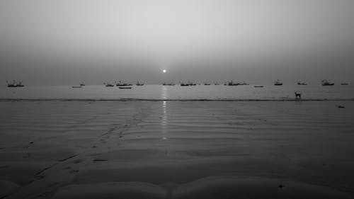 Sunset reflection in the sand of sea at evening and lots of boat in the sea.