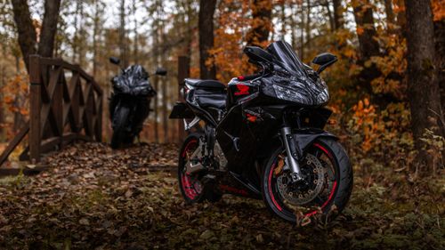 Free Black Honda motorcycles parked on a forest path during autumn surrounded by trees. Stock Photo