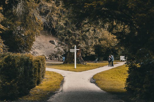 Picturesque park scene with a forked path and signpost, inviting exploration.