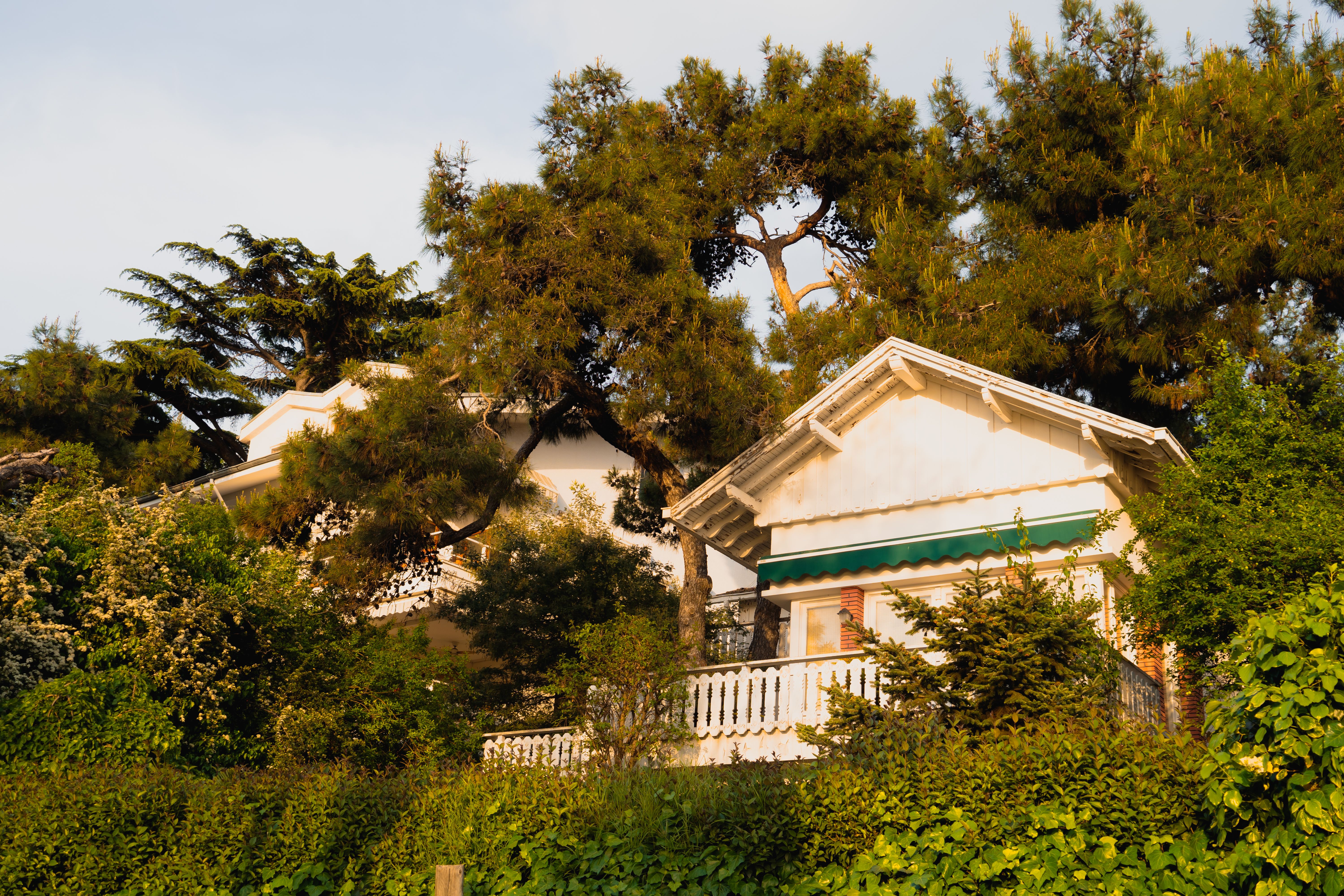 Photos gratuites de @extérieur, arbres, architecture