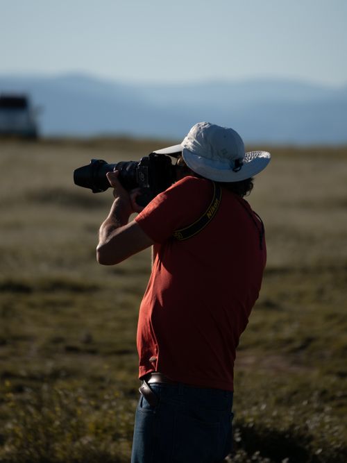 Free A photographer in a field capturing the landscape with a camera during the day. Stock Photo