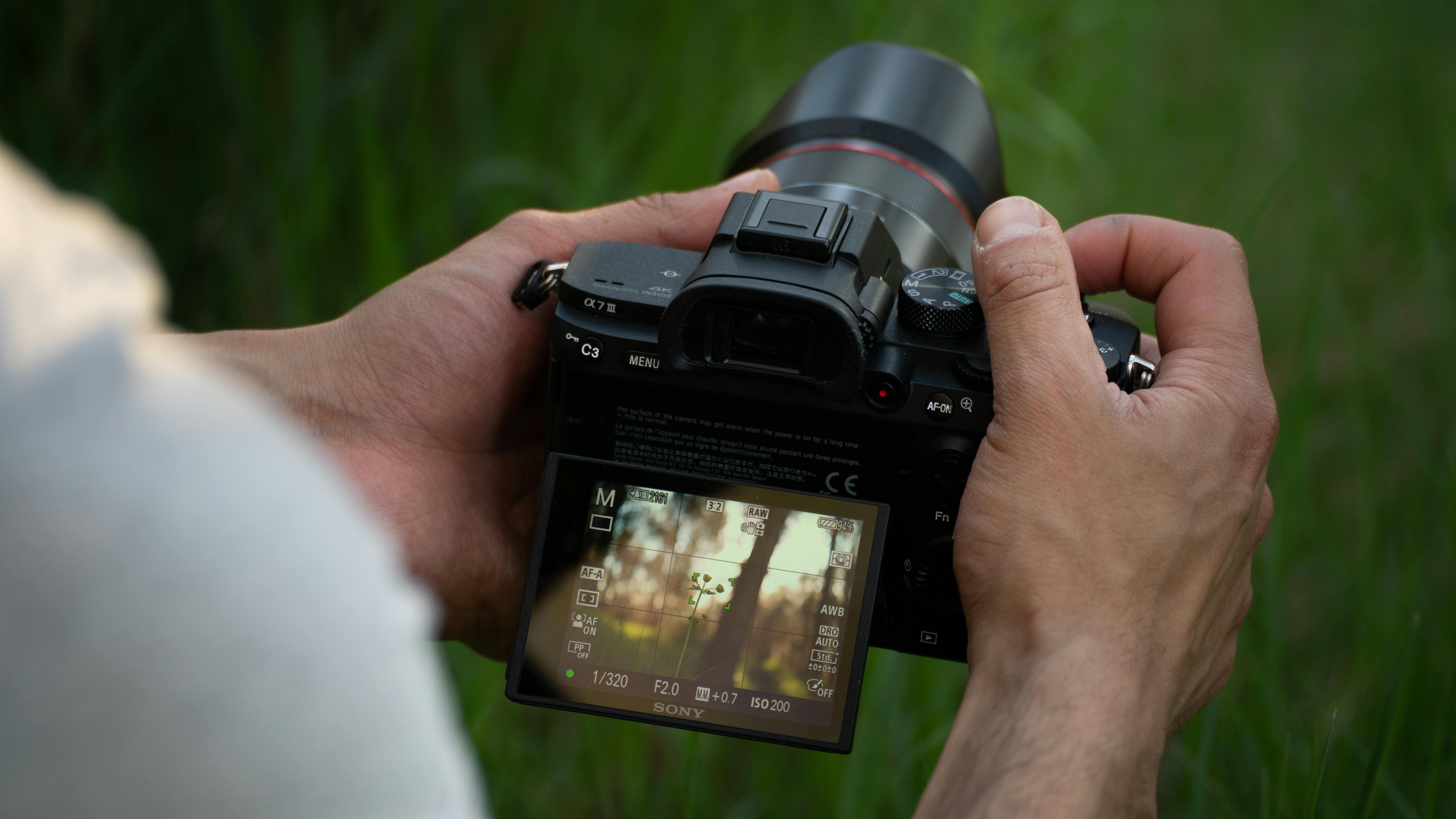 Free A person holding a digital camera, focusing on a plant in a natural outdoor setting. Stock Photo