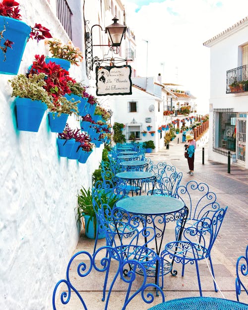 藍色金屬小酒館設置在盆栽鮮花和道路附近