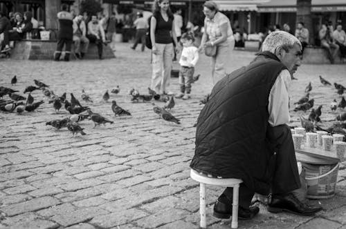 Feeding Pigeons, Daily Life, Market Square, Istanbul, Ortaköy