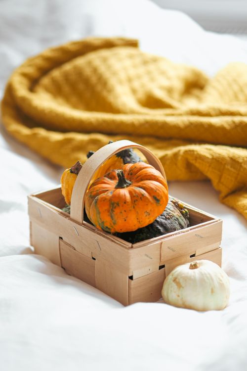 Free Wooden basket filled with vibrant pumpkins on cozy yellow blanket indoors. Stock Photo