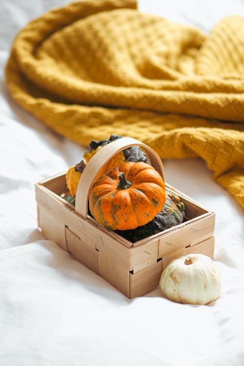 A basket filled with pumpkins and a blanket on a bed