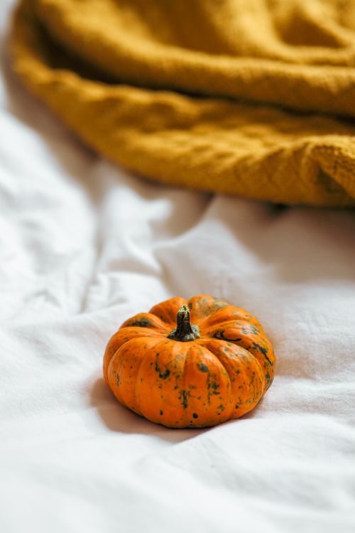 Free A small striped orange pumpkin rests on soft white and yellow fabric, evoking autumn warmth. Stock Photo