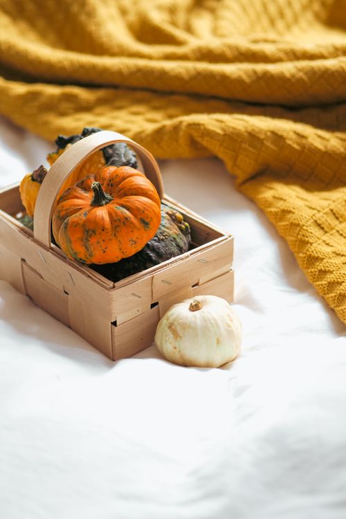 Free A warm autumn scene featuring pumpkins in a basket with a soft, yellow blanket background. Stock Photo