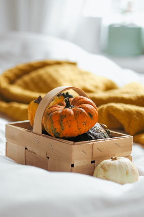 A basket with pumpkins and a blanket on a bed