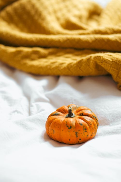 Free A small orange pumpkin rests on a white sheet with a yellow blanket. Perfect for autumn-themed visuals. Stock Photo