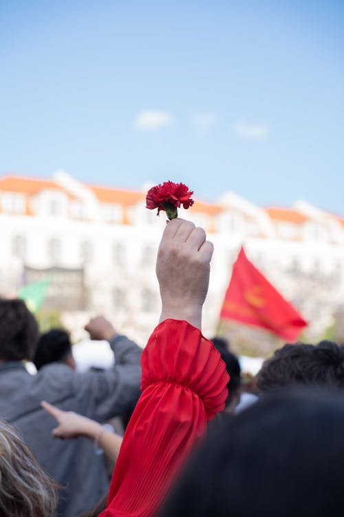 A person holding a red rose in their hand