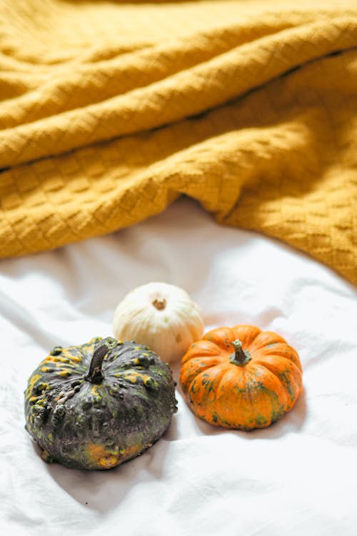 Pumpkins and a blanket on a bed