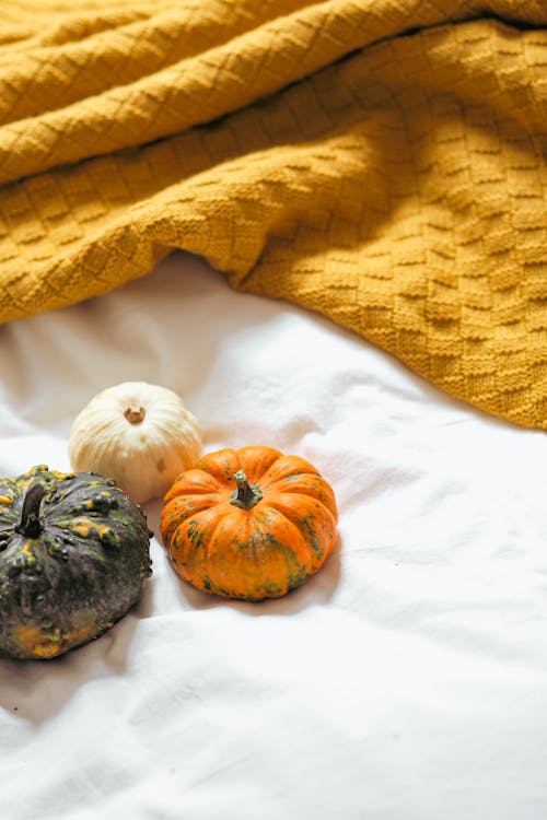 Pumpkins and a blanket on a bed