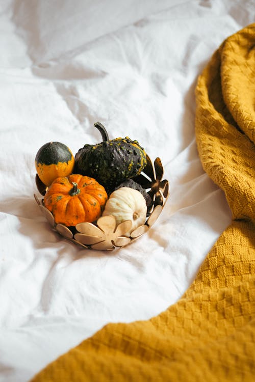 A basket of pumpkins and gourds on a bed
