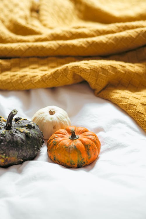 Pumpkins and a blanket on a bed