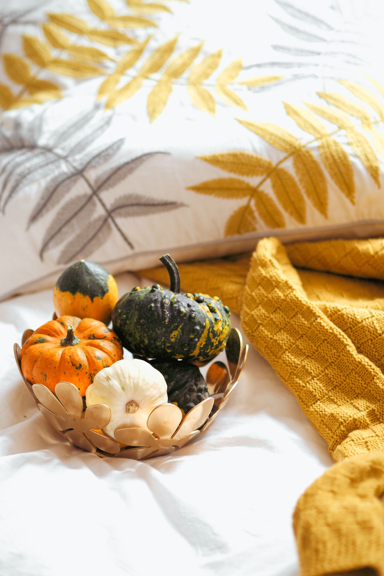 Bowl of mini pumpkins and gourds on a bed beside a mustard knit throw