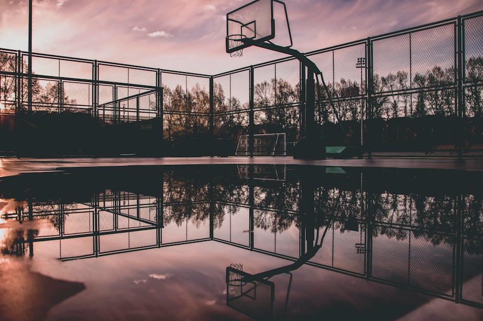 Basketball Hoop Reflecting on Water · Free Stock Photo