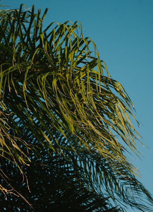 Foto profissional grátis de aumento, céu, céu azul