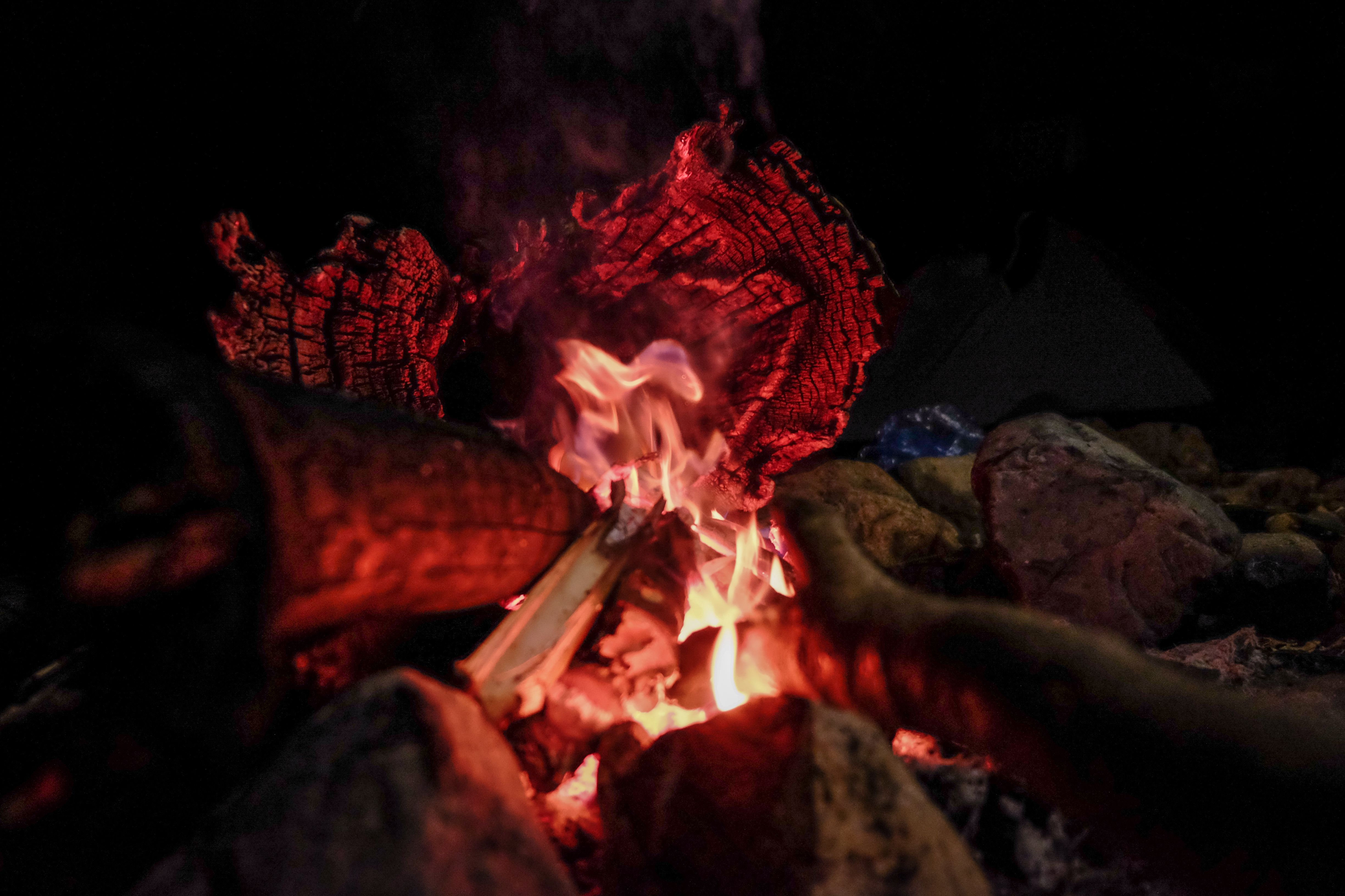 Burning Wood on Fire Pit · Free Stock Photo