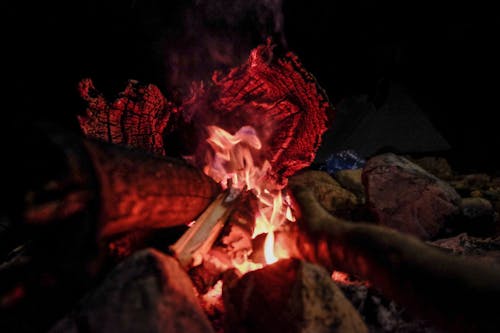 Základová fotografie zdarma na téma dřevěné uhlí, hořící plamen, hořlavý