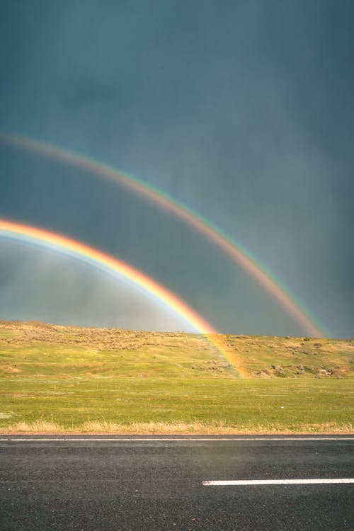 bezplatná Základová fotografie zdarma na téma barva, denní světlo, déšť Základová fotografie