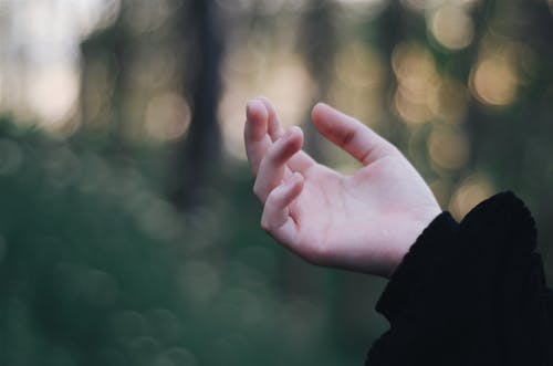 a hand of a person wearing a black sweater