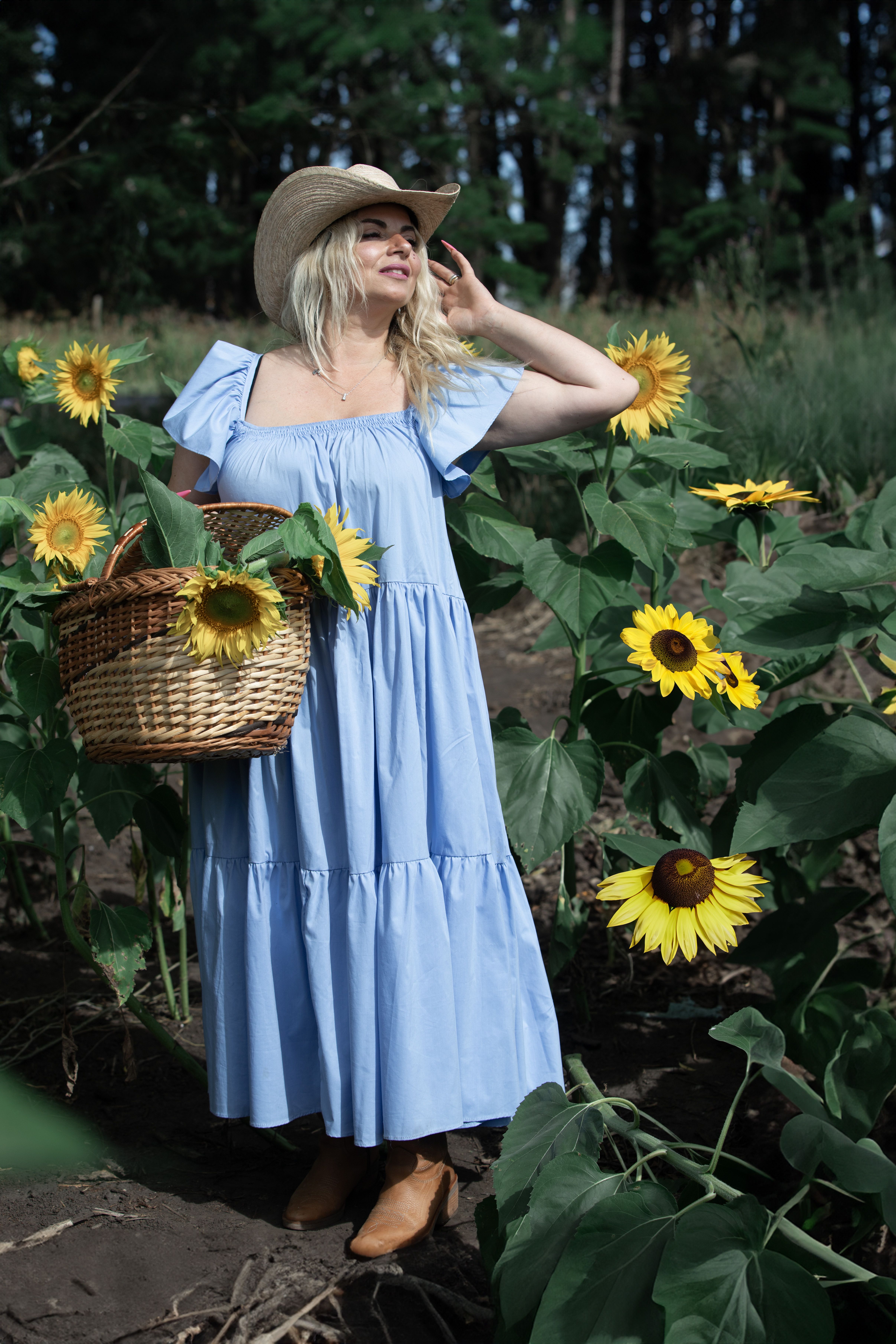 Gorgeous Woman Wearing Blue Dress Holding a Basket with Sunflowers Against  Sunflowers Background  Free Stock Photo