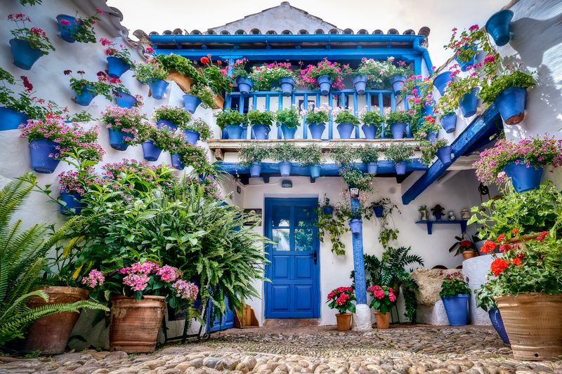 Blue-painted Cordoban patio with geraniums and flowerpots on white walls