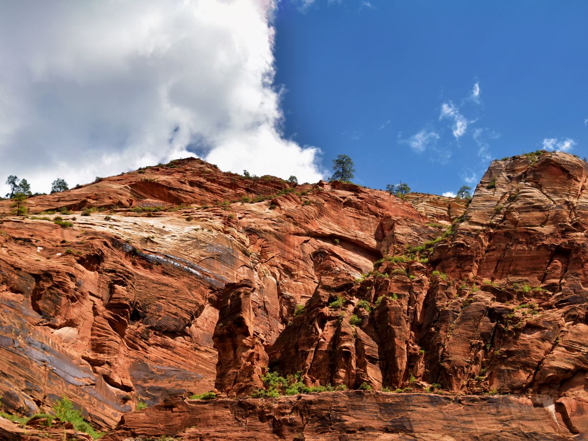 2 Day Women's Solo Wellness Retreat in Sedona, AZ, US 3
