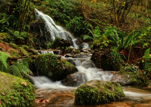Free A tranquil waterfall cascades through a moss-covered forest, creating a serene natural landscape. Stock Photo