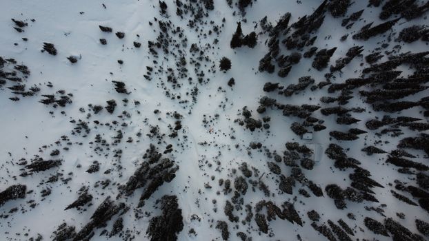 A stunning aerial view of a snow-covered forest with scattered trees during winter.