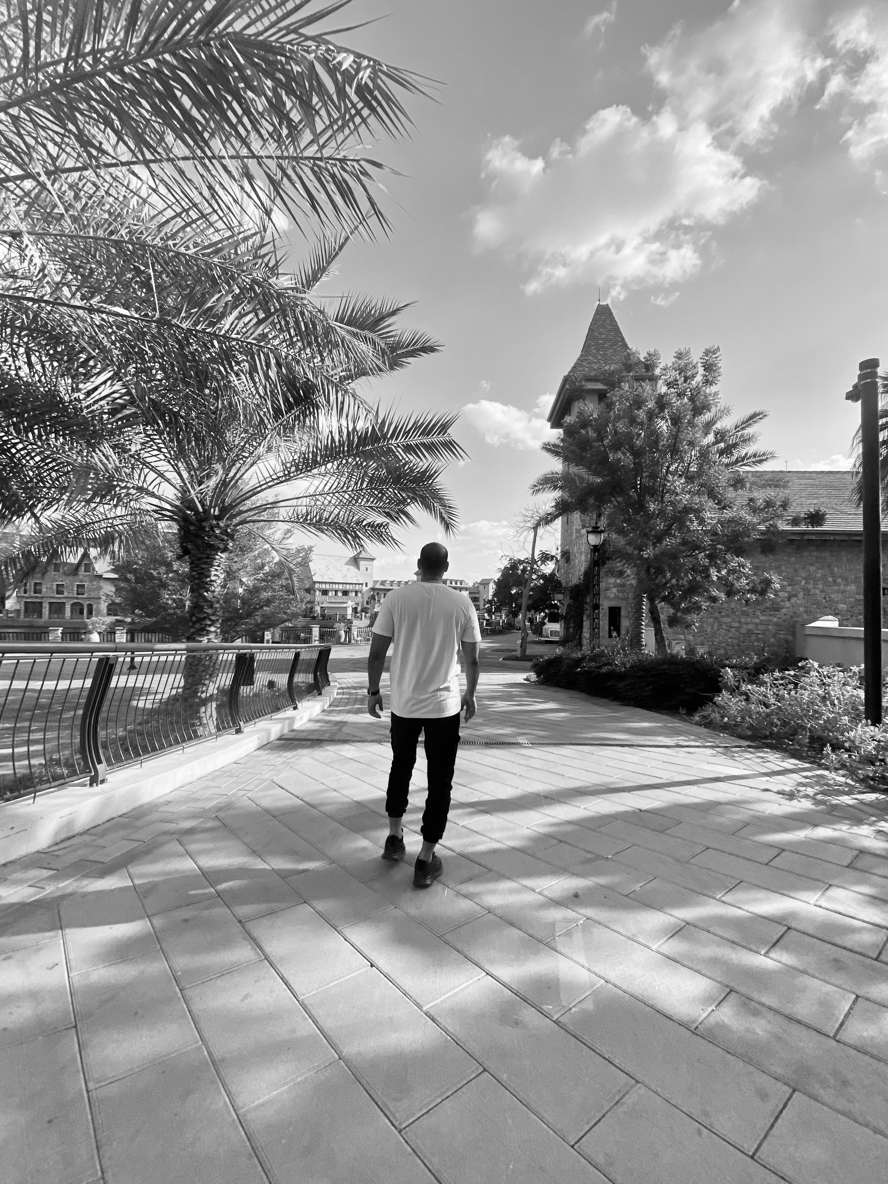 A man walks along a palm-lined sidewalk in a cityscape under a bright sky.